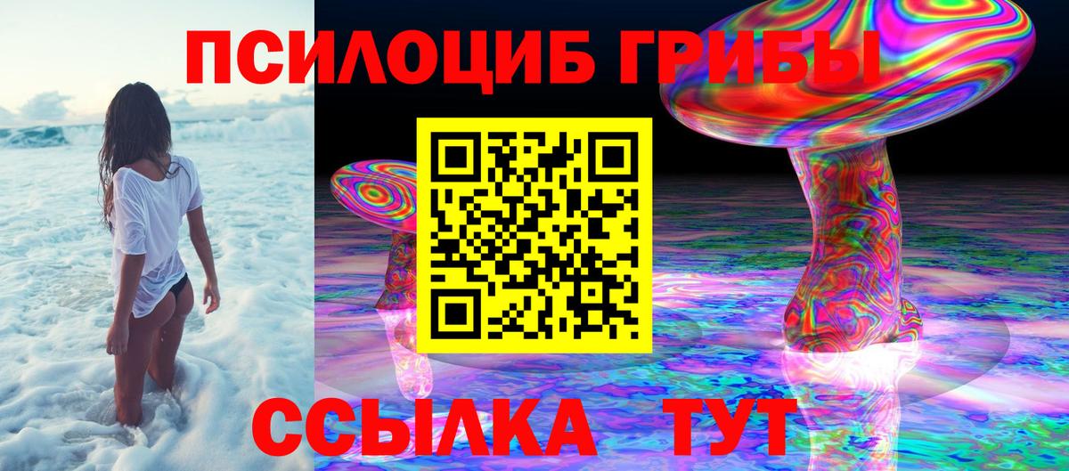 Псилоцибиновые грибы Cubensis Сочи