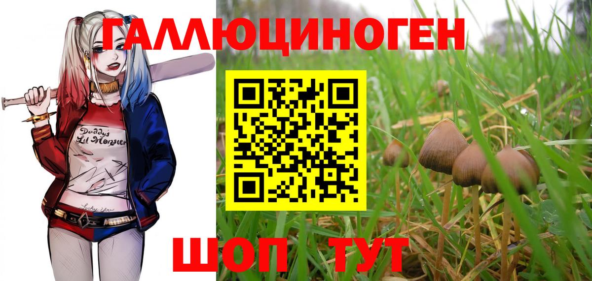 Галлюциногенные грибы Psilocybe  Псилоцибиновые грибы MAGIC MUSHROOMS  как найти закладки  Сочи  Вход с VPN 